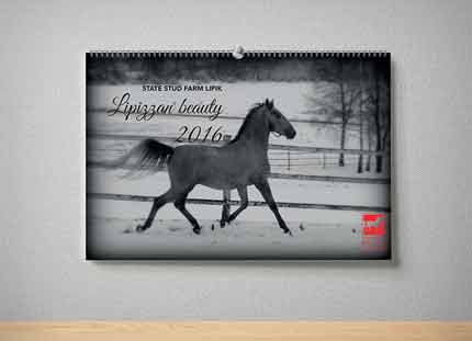 Državna ergela Lipik